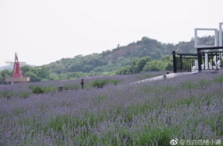 无锡马山网红景点,网红打卡地,山水画卷中的现代风情