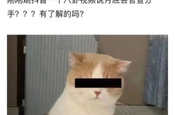 2018电商规模信誉危机“双十一”预警公布及天美麻精国品正在线入口V，我的淘宝上岸