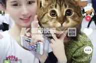 抖音前20网红,揭秘流量密码,揭秘网红背后的故事”