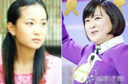 贾玲小品,幽默与争议的交织