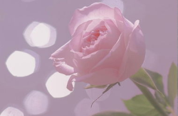 好看又漂亮的照片,精选绝美照片,带你领略人间仙境之美”