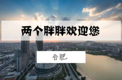 两个胖子打一城市名字,揭秘“两个胖子”所指之谜”