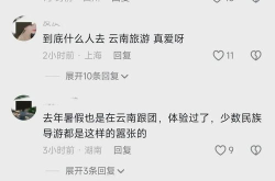 后来者居上打一字谜,揭秘一字谜背后的文化内涵”