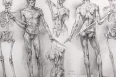 人体模特素描结构,从基础到高级技巧