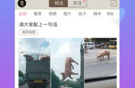 内涵段子app,搞笑段子汇聚地，轻松娱乐新选择