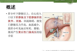 消化系统疾病分类,消化系统疾病分类与临床特征概览