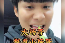 小杨哥搞笑视频,小杨哥搞笑视频集锦,欢乐无限